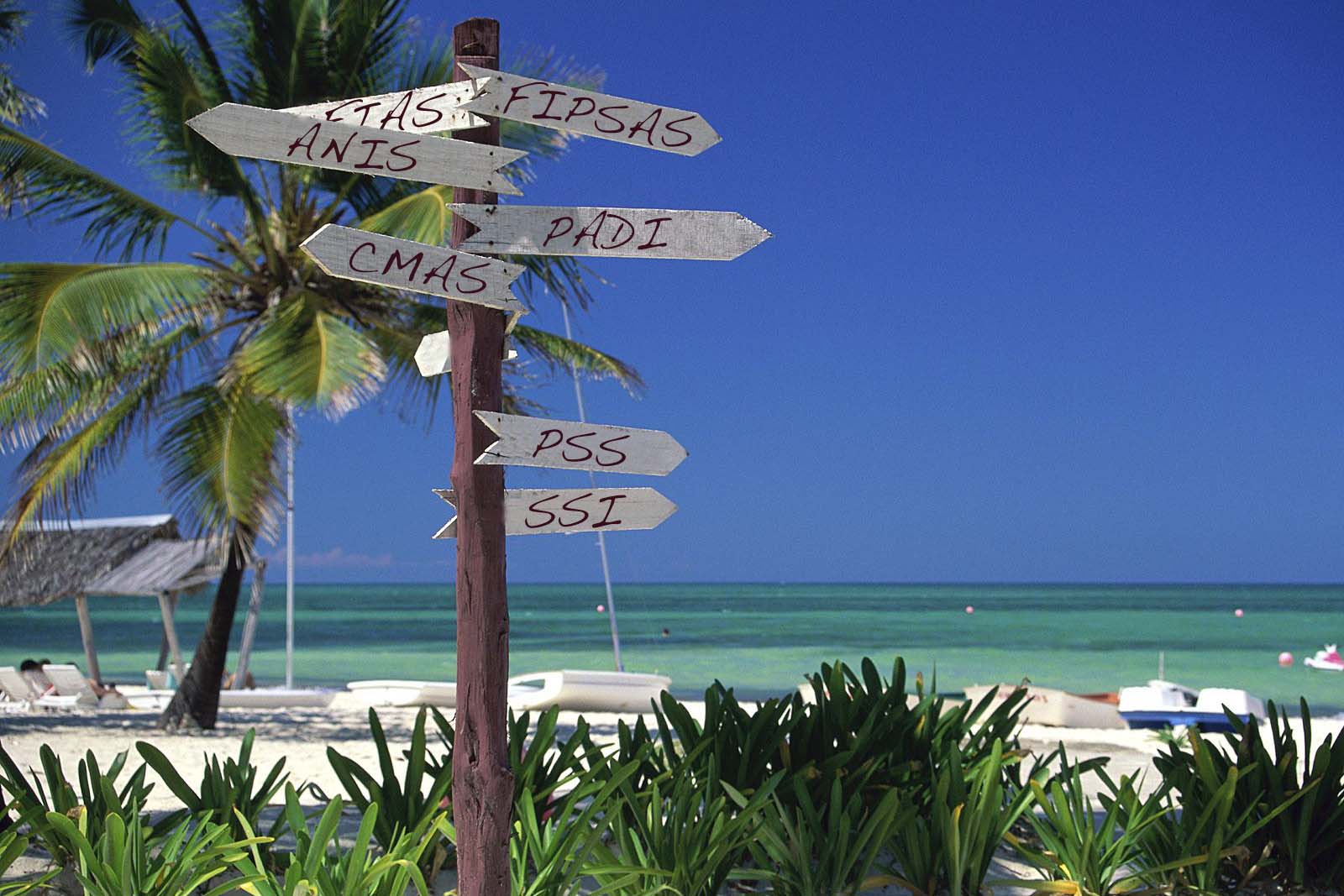 Quale didattica subacquea scegliere